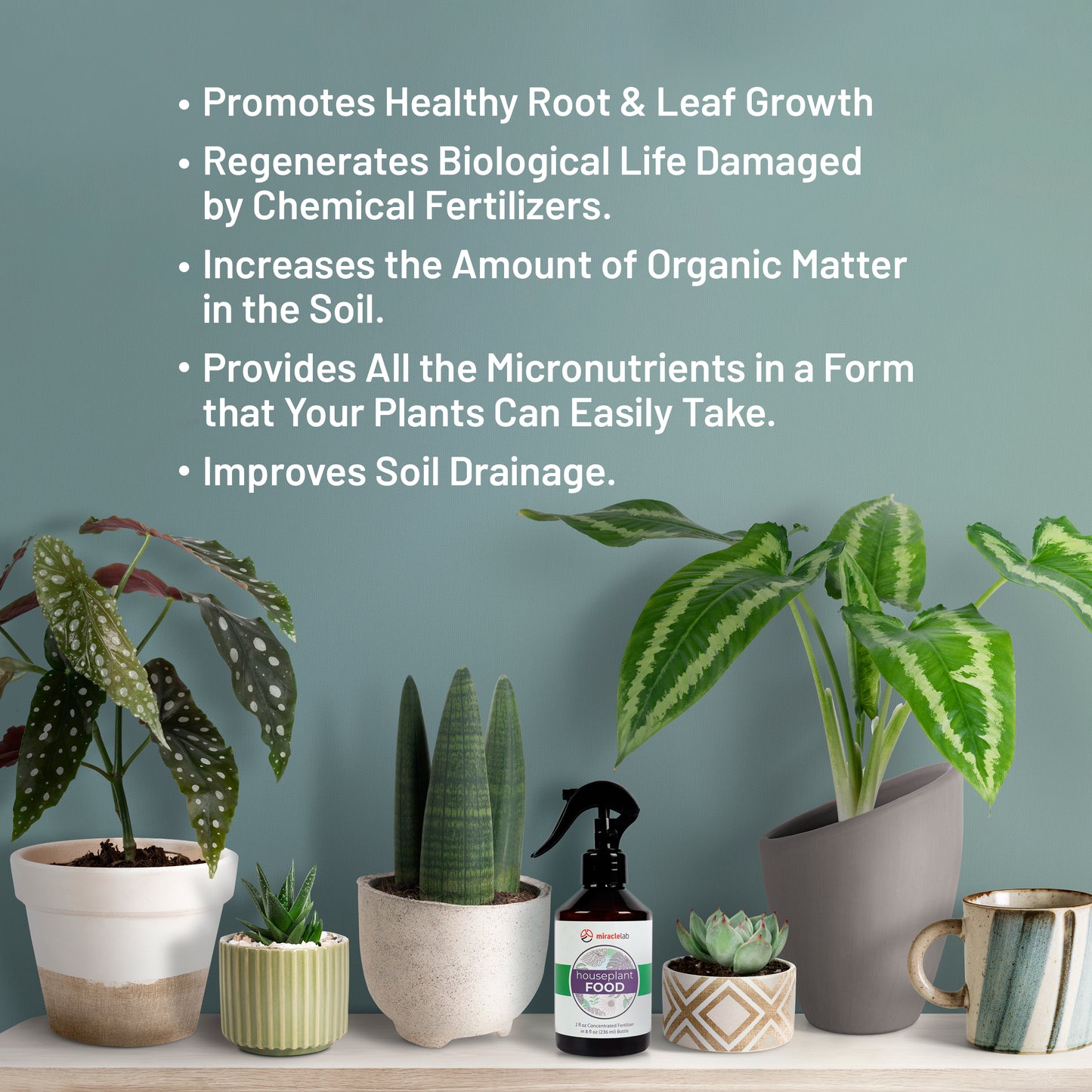 best natural indoor plant fertilizer Miracle Lab Liquid Houseplant Fertilizer I Special Formula with Natura