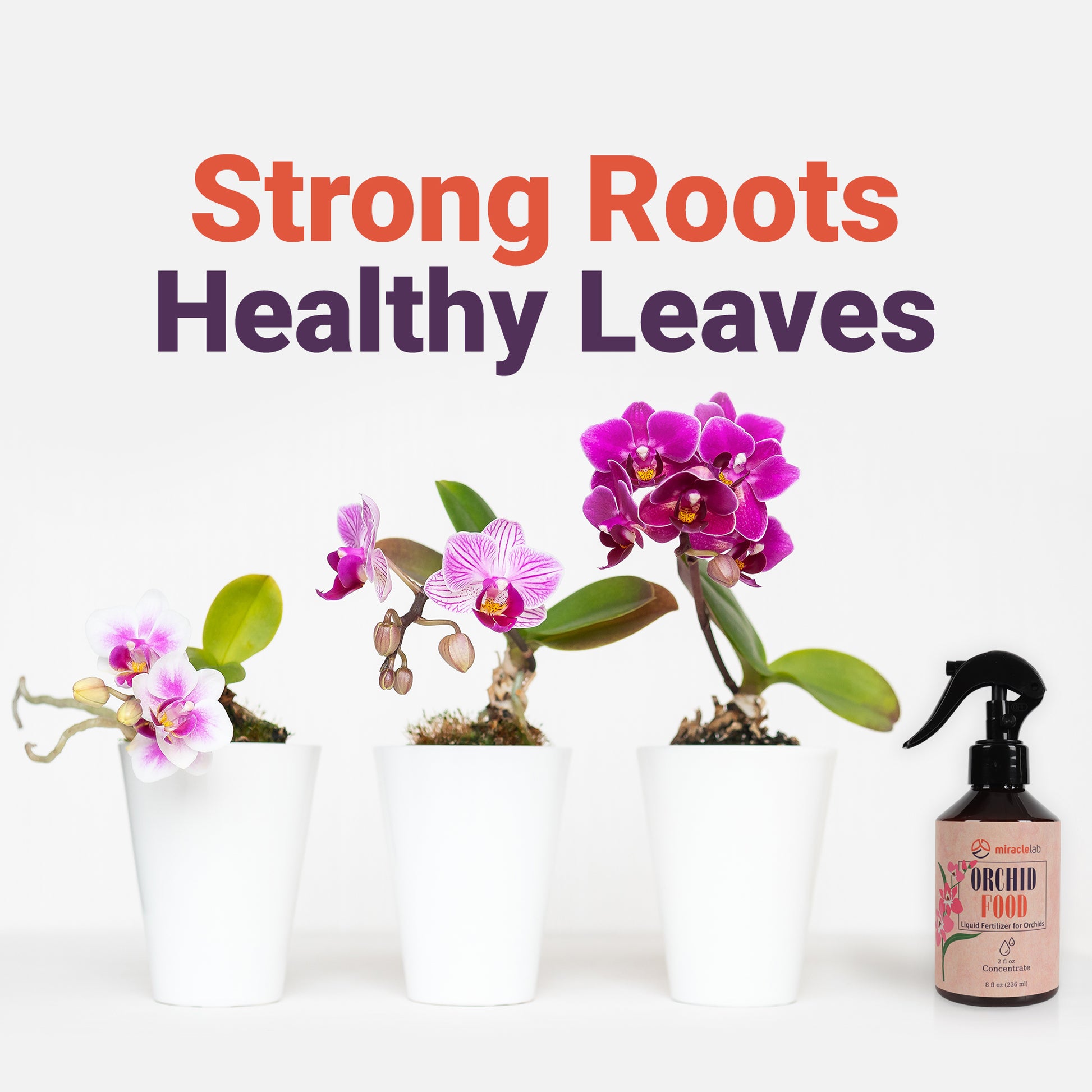 can i use orchid fertilizer on tomato plants Miracle Lab Ready to Use Orchid Fertilizer- Special Formula with Natur