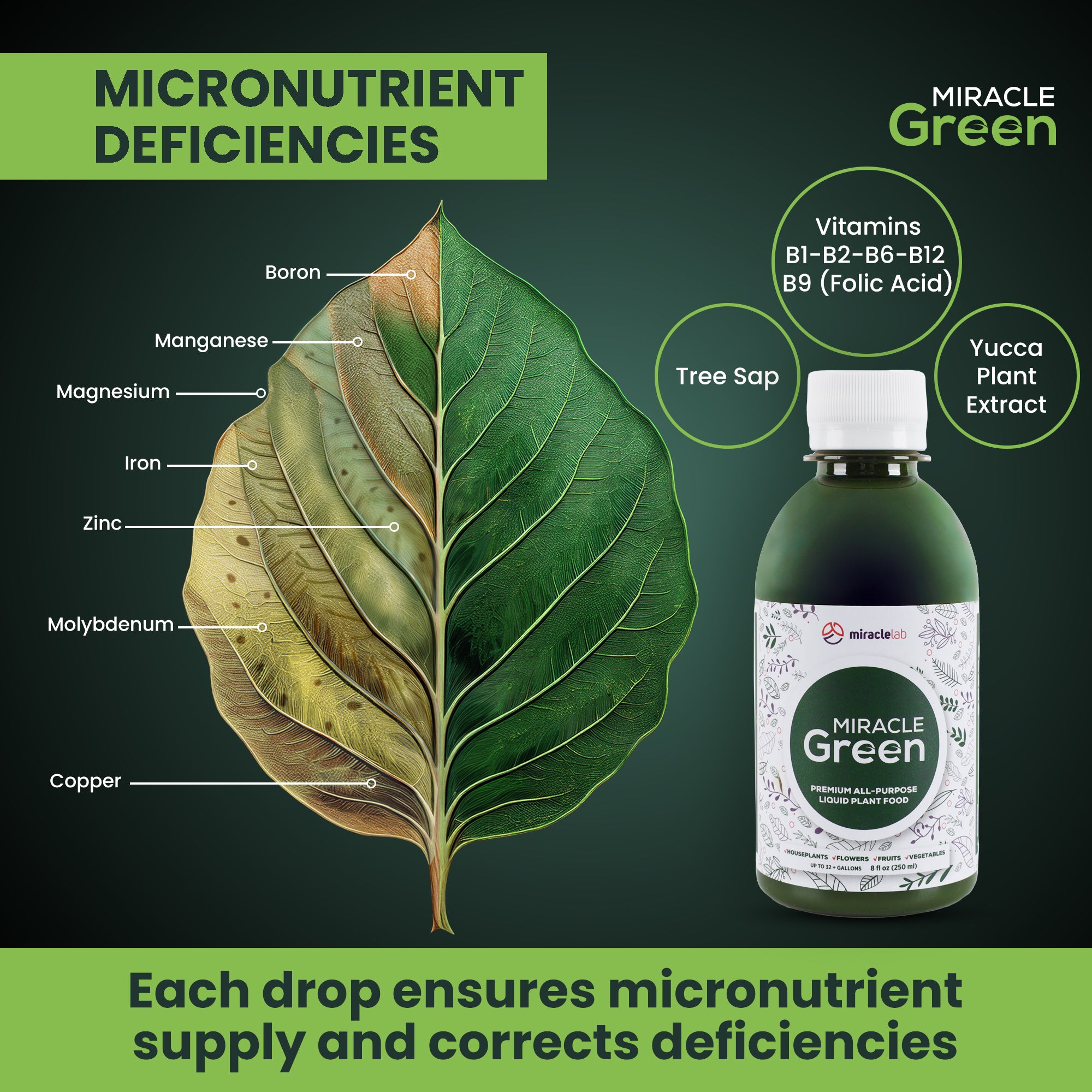 indoor plants vitamins Miracle Green Fast-Acting Liquid Plant Food (8 oz) – Miracle Lab